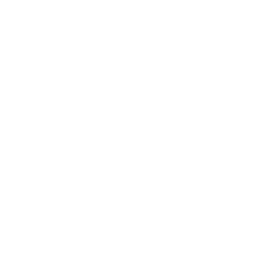Dr Precilia Ziri